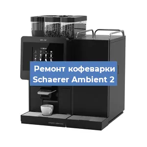 Чистка кофемашины Schaerer Ambient 2 от кофейных масел в Челябинске